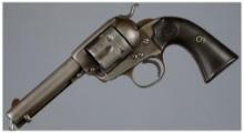Colt Bisley Model Revolver with Factory Letter