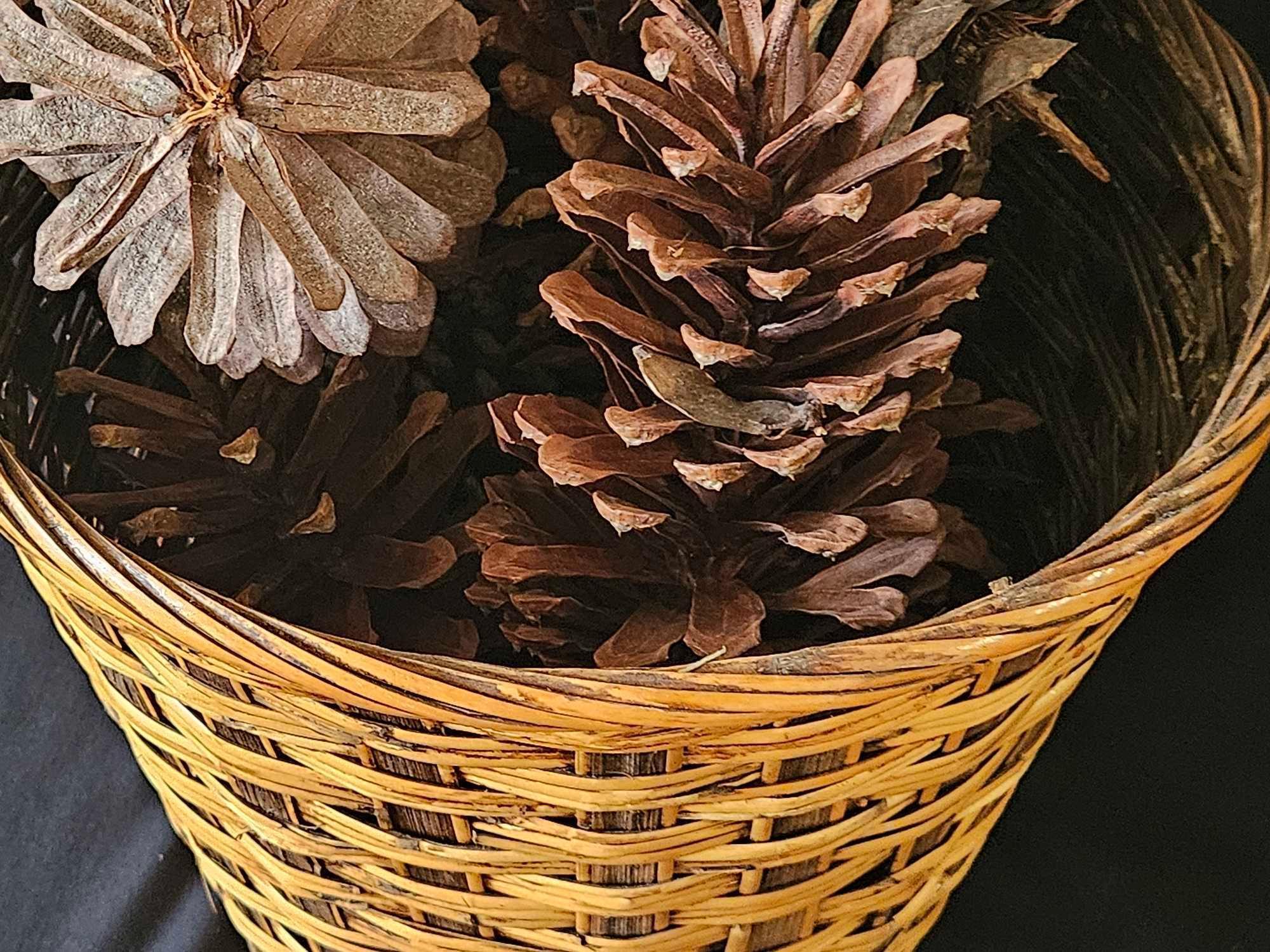 LARGE VINTAGE WOVEN BASKET WITH CURIOUSLY LARGE PINECONES