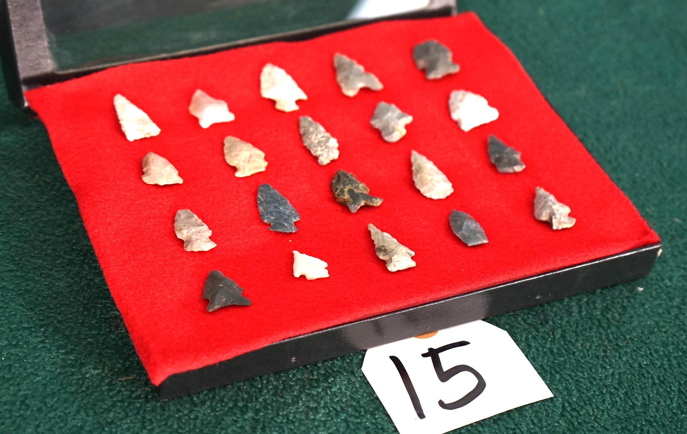 Display Case of 20 Authentic New Mexico Bird Point Arrowhead Artifacts