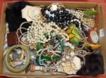 Variety of Costume Jewelry.