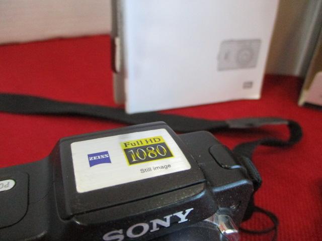 Digital Camera Pair-Sony and Nikon