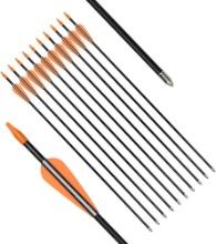 Practice Fiberglass Archery Arrows, 28" Target Shooting Safetyglass Recurve Bows, 12PCS, Retail $40