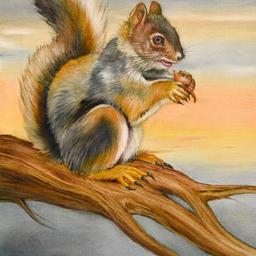 There is a Squirrel in Your Yard by Katon Original