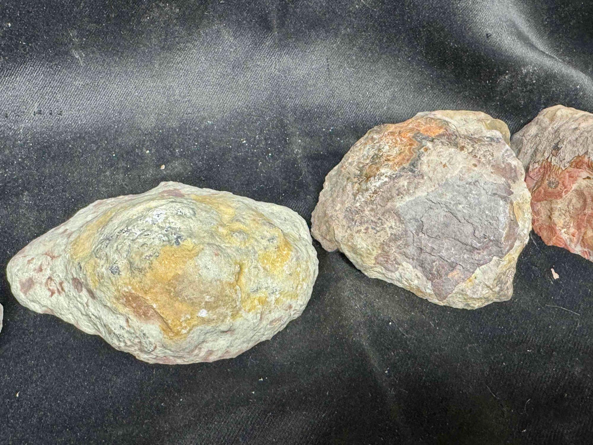 6 Reddish Geode Halves Specimens