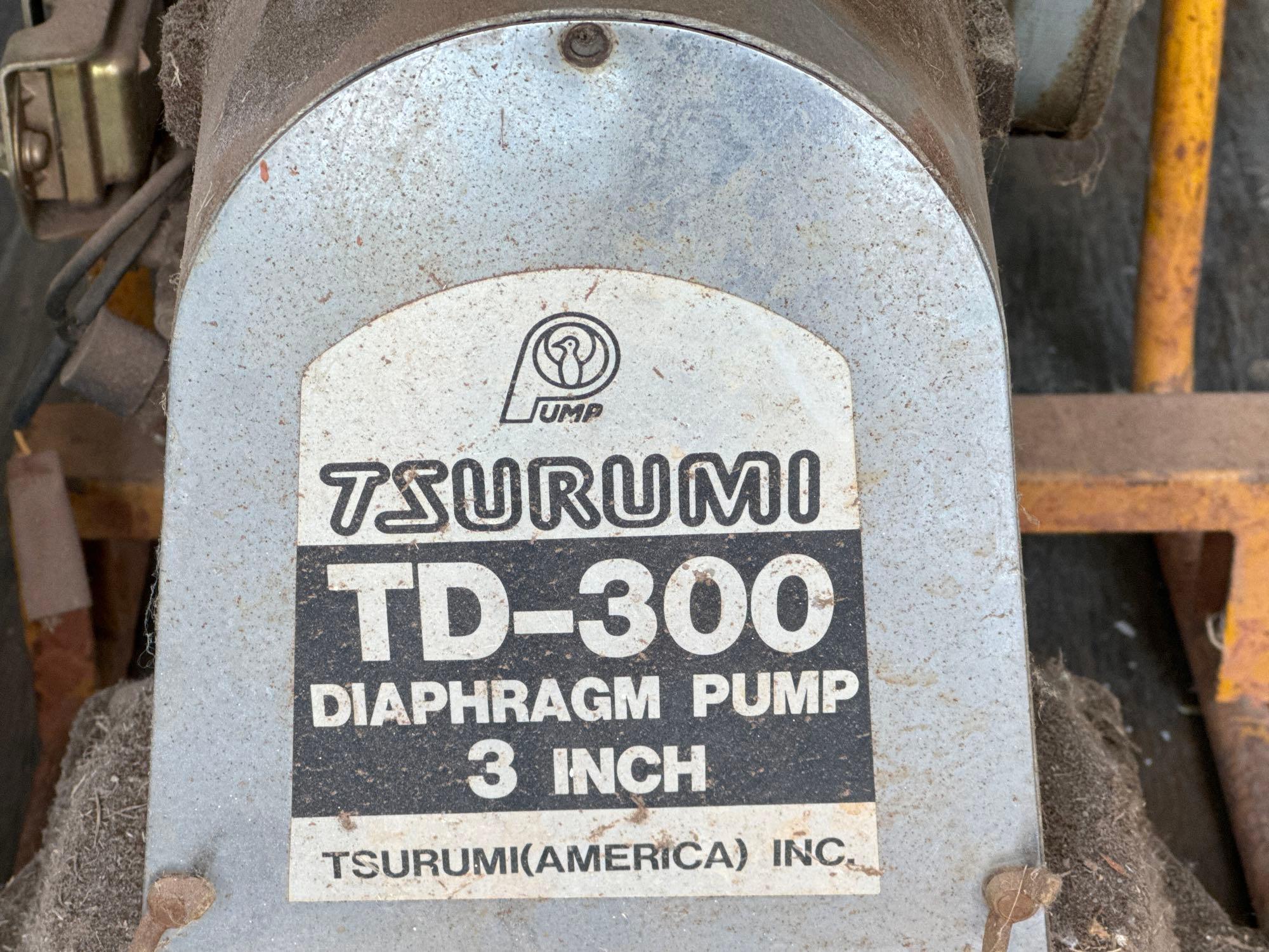 Diaphragm Water Pump