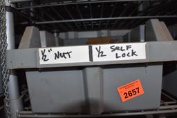 Nuts and Self Lock