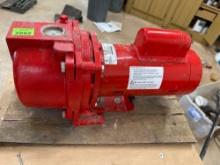 red lion non submersible pump 230 volts