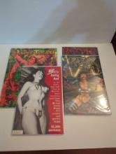 Adult/Mature Reader Comics - Betty Page, etc.