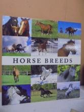 Large Horse Breeds Hardback Book
