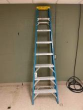 8' Werner Step Ladder