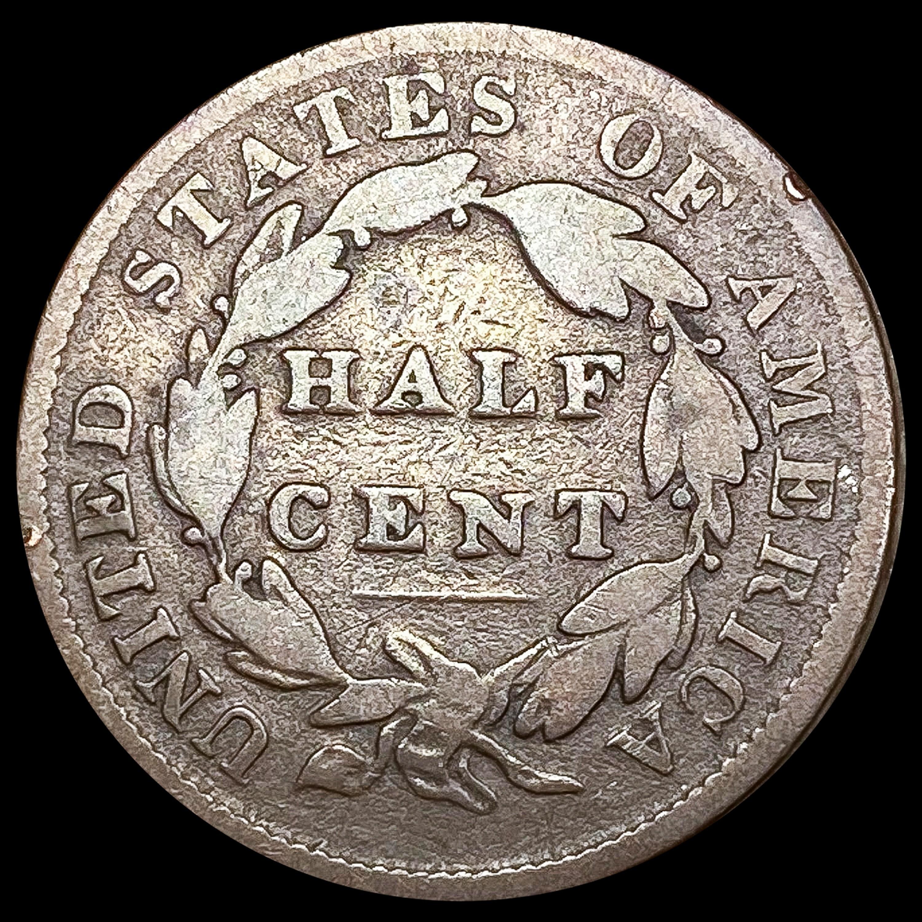 1833 Classic Head Half Cent NICELY CIRCULATED