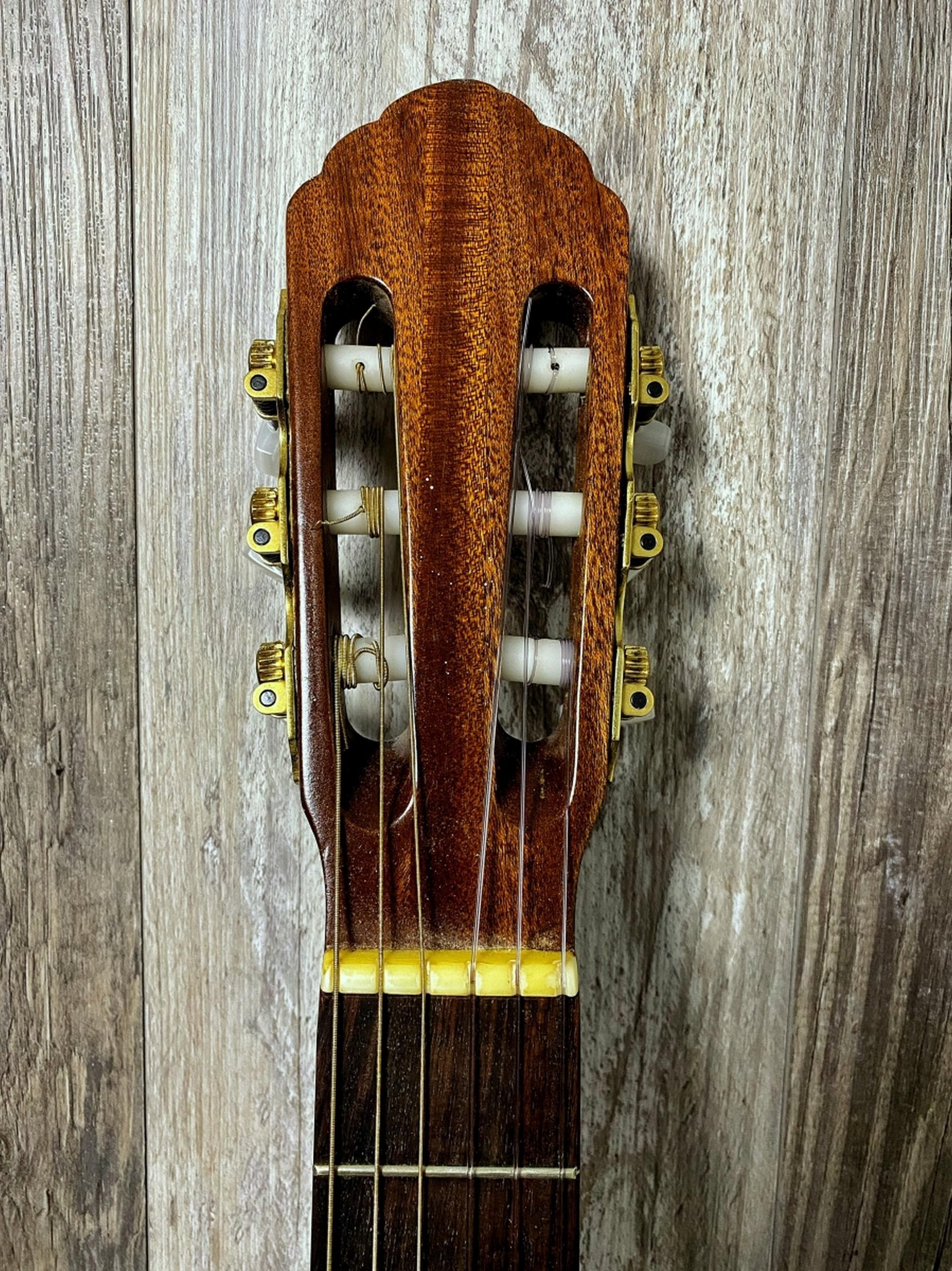 1966 Oscar Teller ACC Guitar Soft Case
