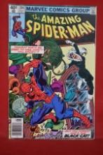 AMAZING SPIDERMAN #204 | KEY 3RD APPEARANCE OF BLACK CAT - NEWSSTAND!