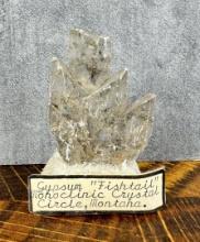 Fishtail Gypsum Monoclinic Crystal Montana