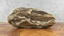 Montana Petrified Wood Specimen