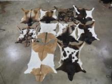 10 Brand New Goat Hides (ONE$) TAXIDERMY