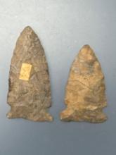Pair of Onondaga Chert Side Notch Points, FINELY Made, Longest is 1 7/8", Found in New York