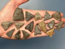 16 Nice Complete Triangle Points, Chert, Longest is 1 7/16", Found in New York, Ex: Dave Summers
