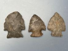 3 Jacks Reef Chert Points, Corner Notch, Longest s 1 5/8", Found in New York, Ex: Dave Summers