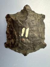 HIGHLIGHT 1 7/16" Black Chert TURTLE EFFIGY, Found on Upper Del. River, Ex: Elinor Fehr