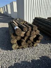 6in Treated Posts by Day-Bundle