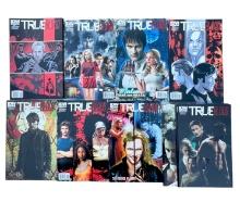 COMIC BOOK TRUE BLOOD IDW COLLECTION LOT 33 ALL NEW