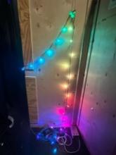 STRING OF LIGHTS WITH PIXEL CONTROL AND POWER SUPPLY (INCLUDES CUSTOM MUSHR
