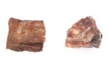 Two Pieces of Red Fossilized Wood