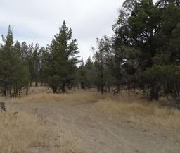 California Aprox 1 Acre Modoc County Great Recreational Land Investment with Low Monthly Payments!