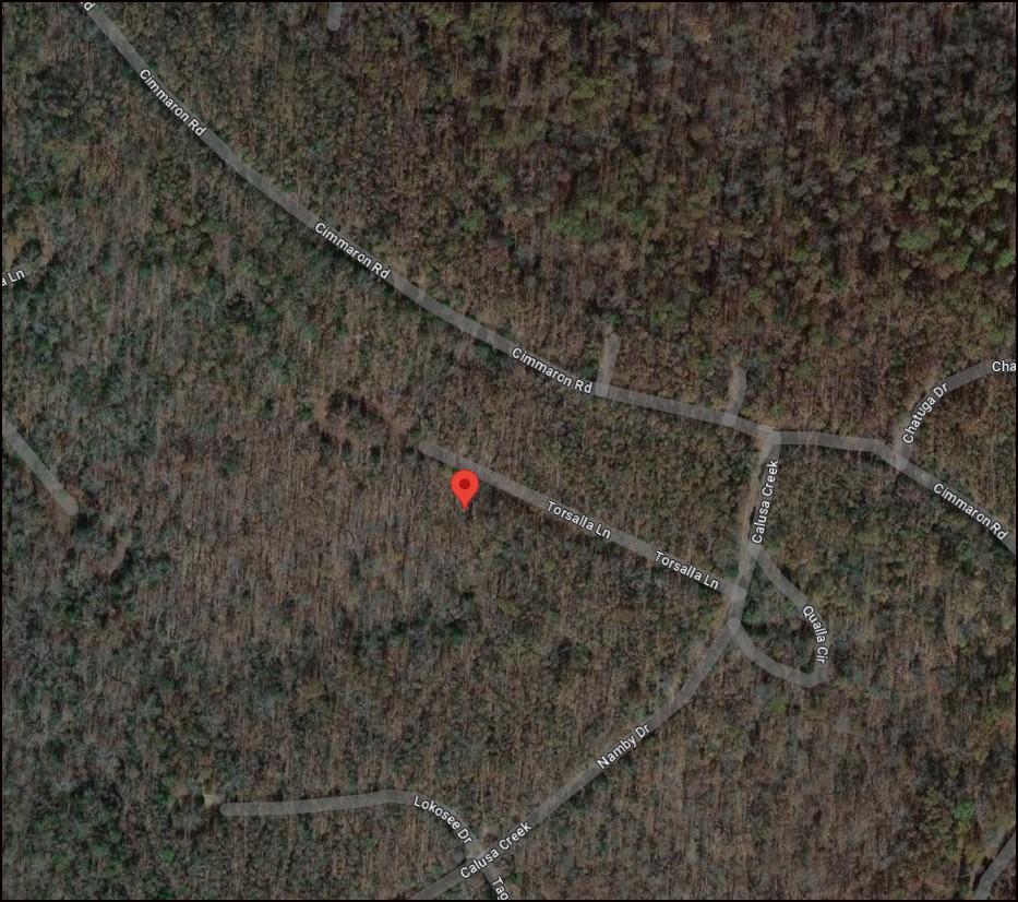 Arkansas Fulton County Rare Double Lot in Cherokee Village! Great Recreation! Low Monthly Payments!