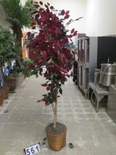 6' Silk Tree in Wicker Planter