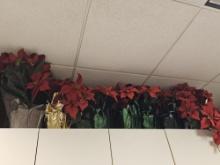 Large Poinsettia and Christmas Decor  Lot