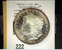 1879 S Reverse of 1879 Morgan Silver Dollar, Gem BU with marvelous toning and semi-prooflike fields.