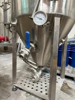 1bbl SS Brewtech Fermenters 2x Quantity