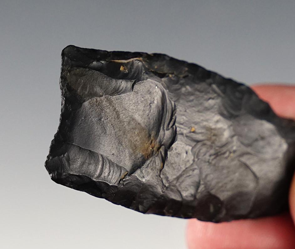 2 3/8" Paleo Clovis made from Zaleski Flint. Found in Licking Co., Ohio. Bennett COA.