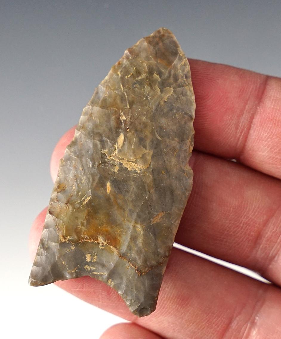 Classic styled and well made 2 5/16" Fluted Paleo Clovis found in Belmont Co., Ohio.