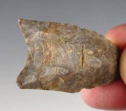 Classic styled and well made 2 5/16" Fluted Paleo Clovis found in Belmont Co., Ohio.