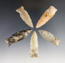 Group of 5 Fishspear Points made from various flint types. Largest is 2". 4 are Ex. Mel Wilkins.