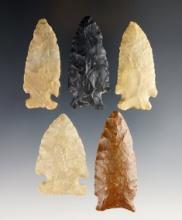Group of 5 nice assorted Ohio Points made from various flint types. Largest is 2 3/16.