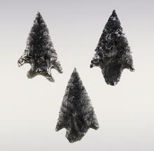 Set of 3 nice Obsidian points found in in the 1960's in Oregon. The largest is 1 5/16".