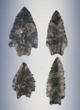 Set of 4 classic Ohio Paleo transitional points. The largest is 2 7/16".