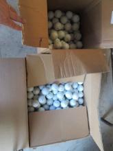 300+/- White Titleist Practice Balls
