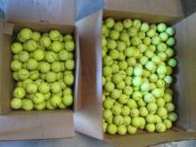 300+/- Yellow Titleist Practice Balls