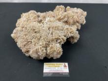 Massive Desert Rose Selenite Cluster, rock with intersecting disc like crystals