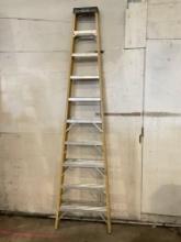 Werner Fiberglass Ladder, 10 feet, model FSA10, 300lbs load capacity
