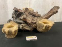 Burlwood Knotty Chunk of wood, Candelabra Centerpiece