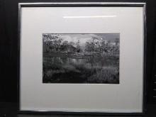 Artwork -Framed and Matted Photograph-Florida Everglades