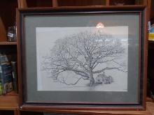 Framed & Matted Pen & Ink-The Wye Oak, MD 544/600 by Martin Barry