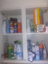 Cabinet Cleanout--Sprays, Cleaners, Disinfectants