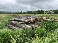 Approximately 30 Cedar Posts 8-10' - As Viewed